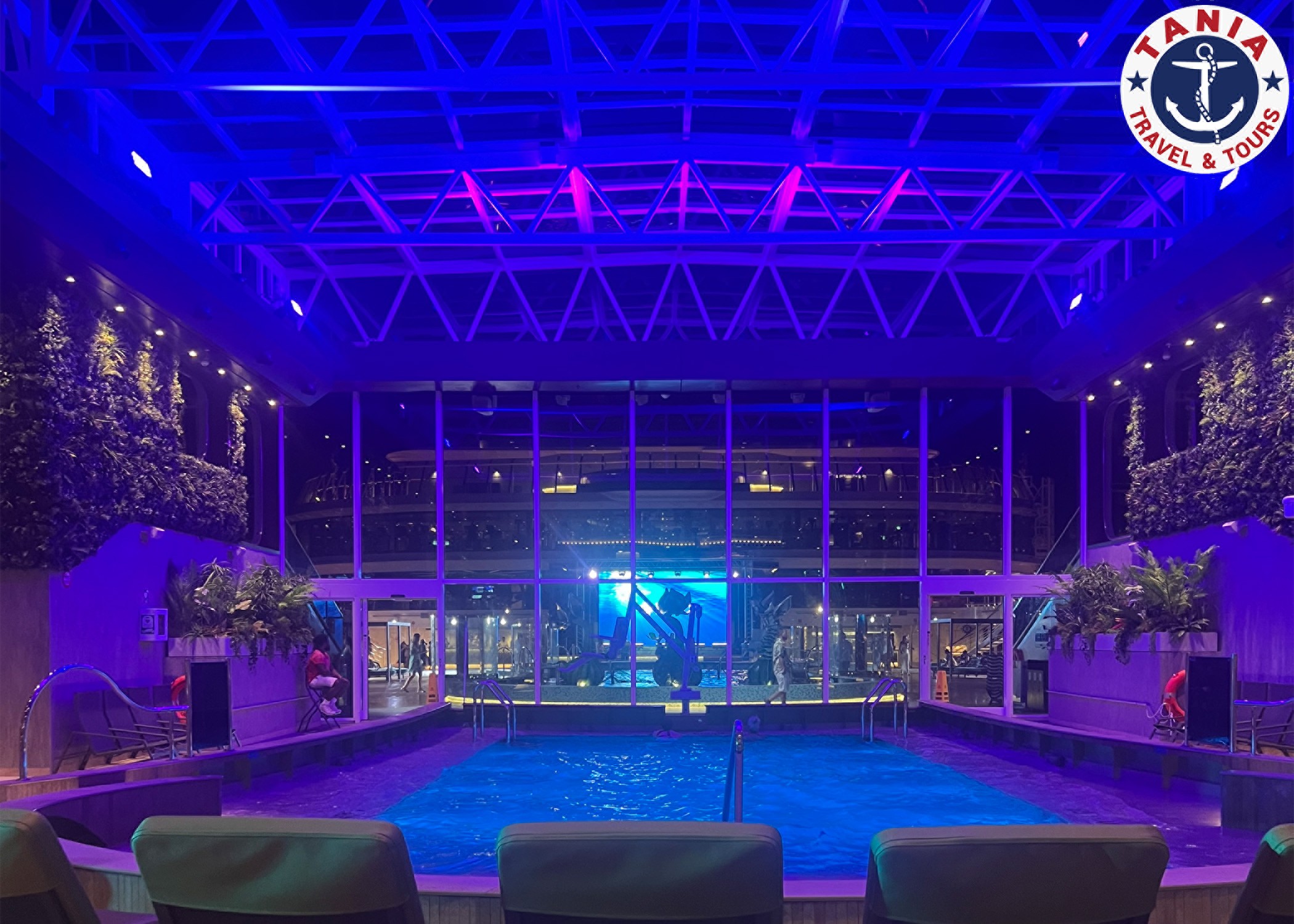 MSC WORLD AMERICA Christmas