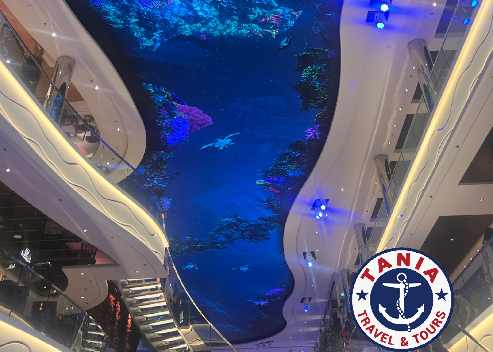 MSC WORLD AMERICA Christmas